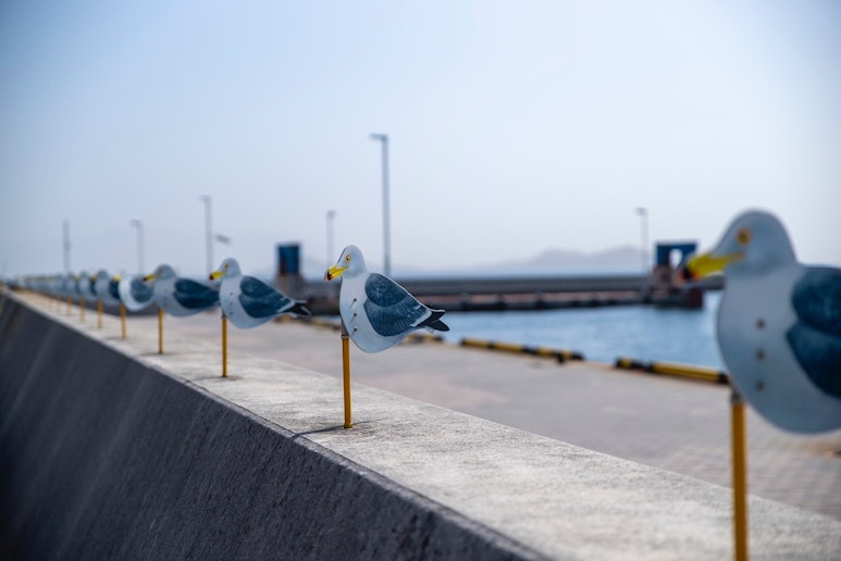 カモメの駐車場（瀬戸芸作品）