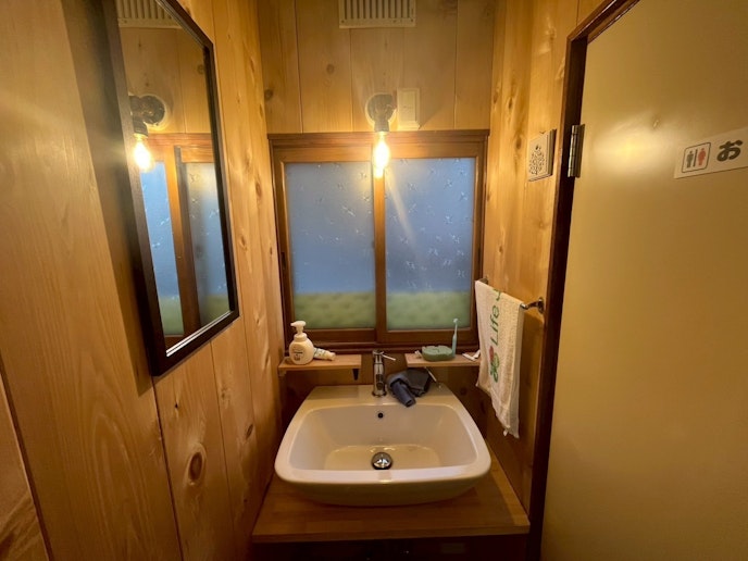 大きい洗面ボール