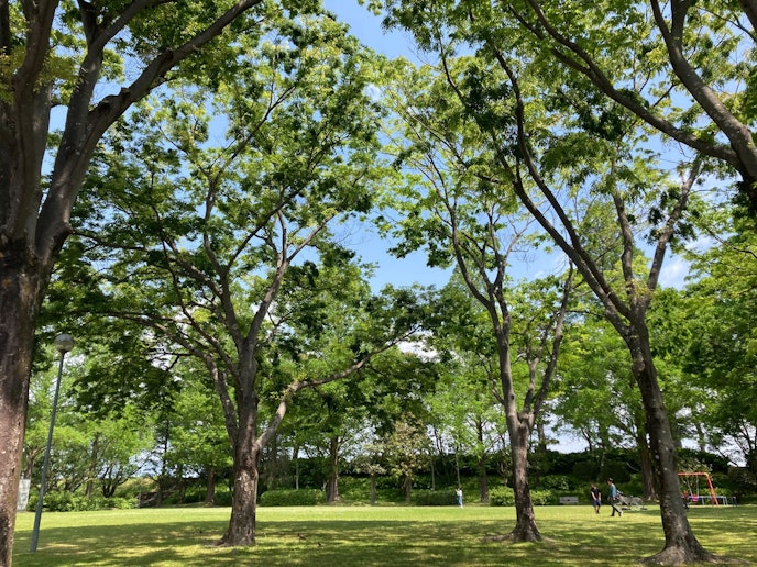 公園の眺め　Lush park view from the Villa