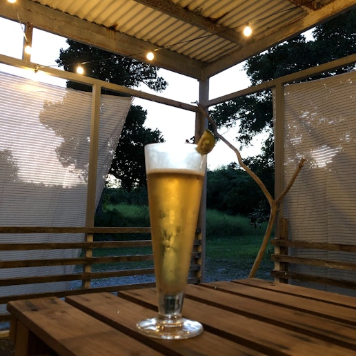 シャンディガフ