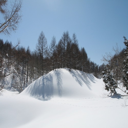 冬の斑尾高原