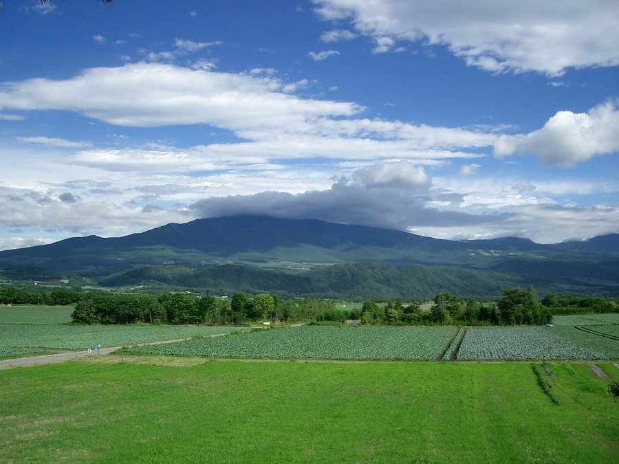 【当館人気】【ＤＸツインルーム】北軽井沢の雄大な高原の絶景を望む2人だけの特等席