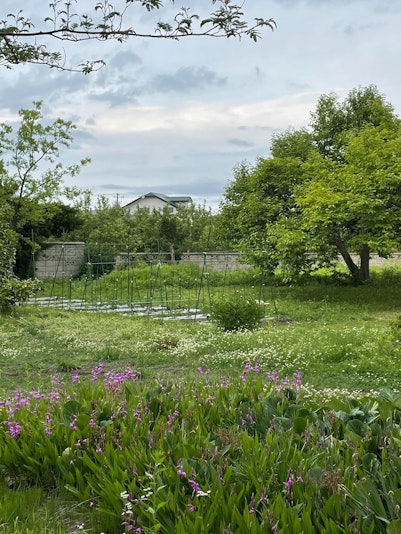 畑もあります。収穫期にはご滞在中のお食事にもお使いいただけます。