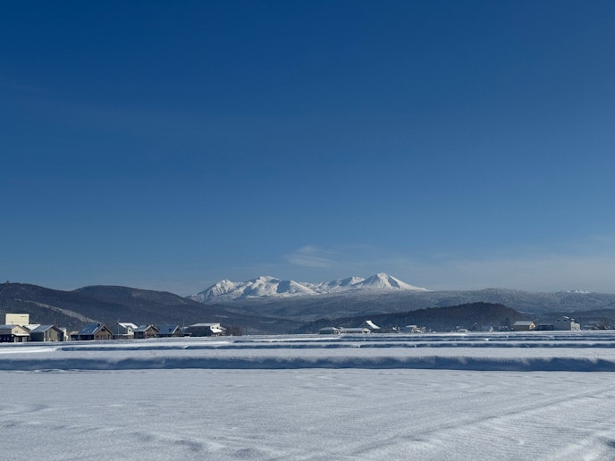 冬のリビングからの眺め
