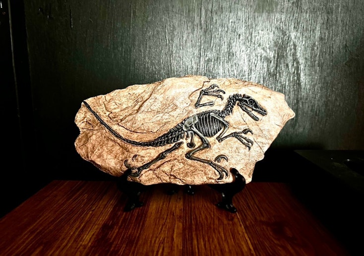 お子様からの「これ何？恐竜？」から始まる会話が何よりの思い出となります。