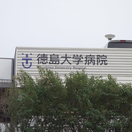 写真5