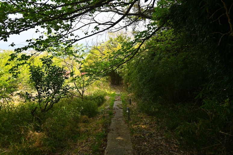 緑のトンネルを抜けると、そこにはプライベートな海岸が広がります。