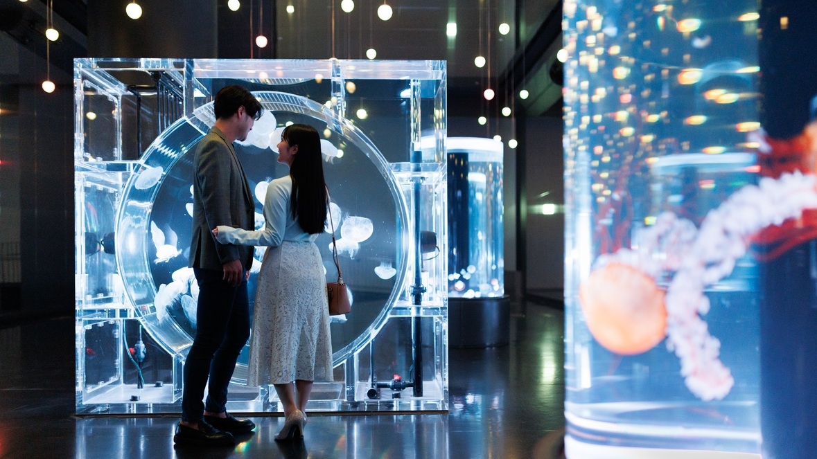 【1月3日限定】閉館後の水族館で楽しむ　NEW YEAR NIGHT AQUA（朝食付き）