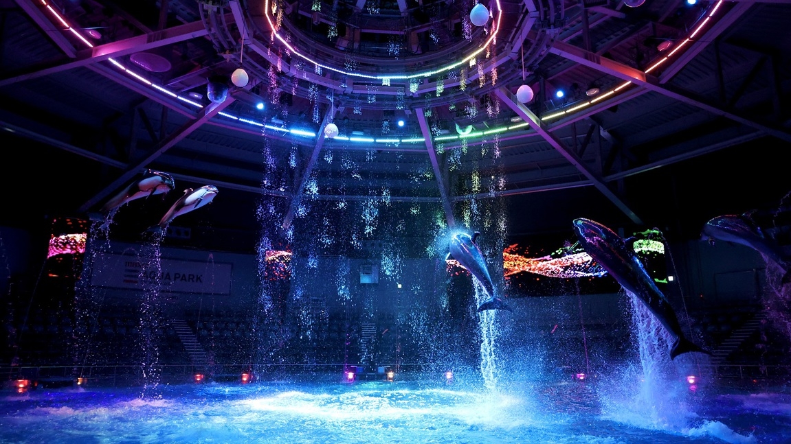 【映画・ボウリング・水族館】シナプリを遊びつくす！！エンタメパスポートステイ