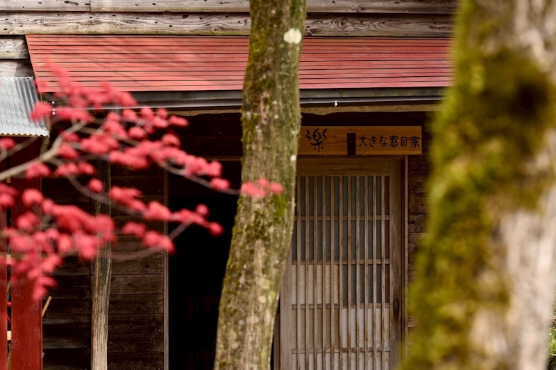 前庭の木々が季節を感じさせてくれます