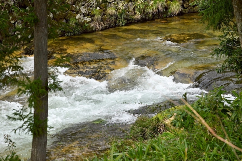大きな窓の下には澄んだ川が流れています