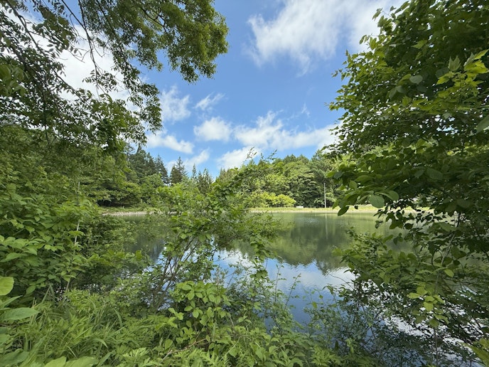 湖畔にございます