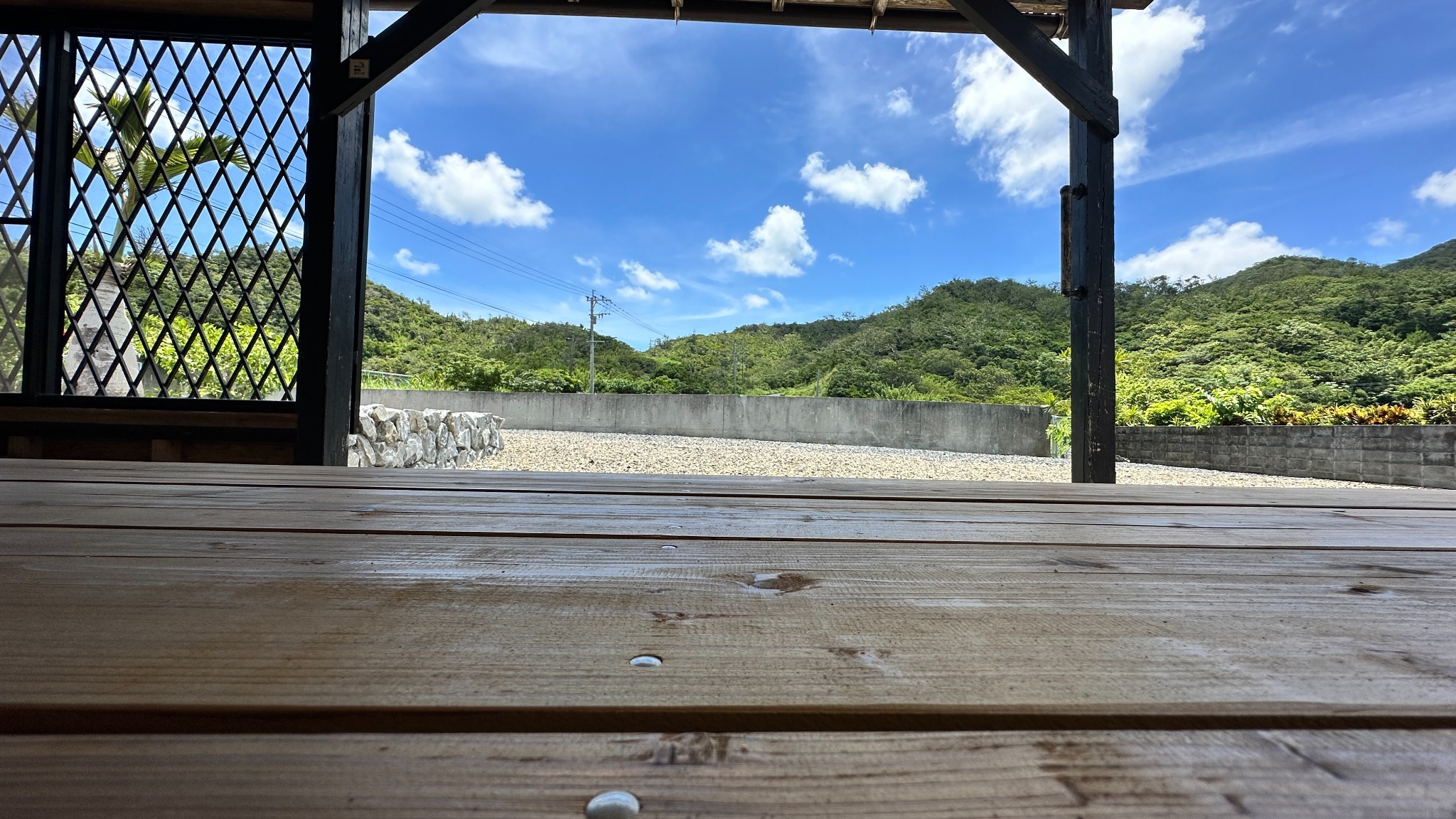縁側から見る山の景色　奄美特有の鳥が来ることも