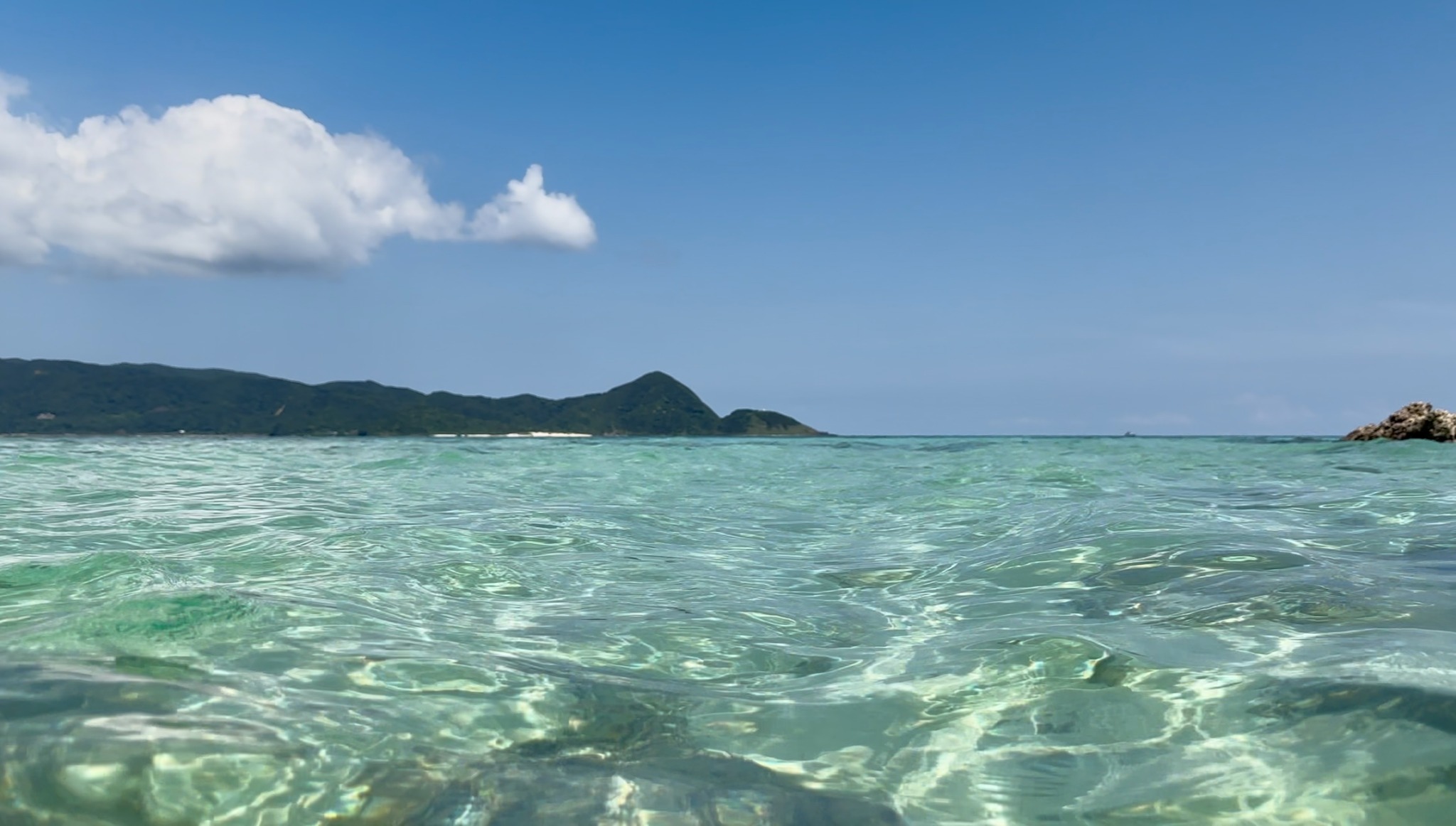 透明度抜群の海