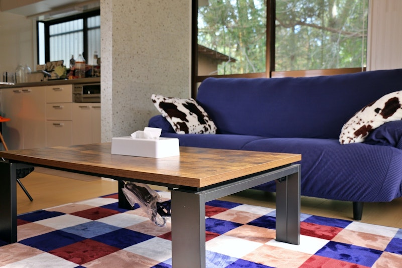 ホットカーペットが敷いてあるので冬でもあったか