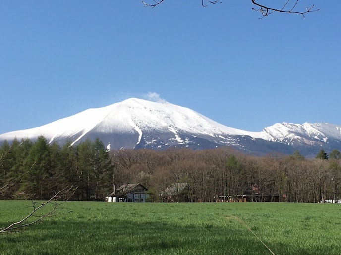 どんぐりの小道から見る浅間山