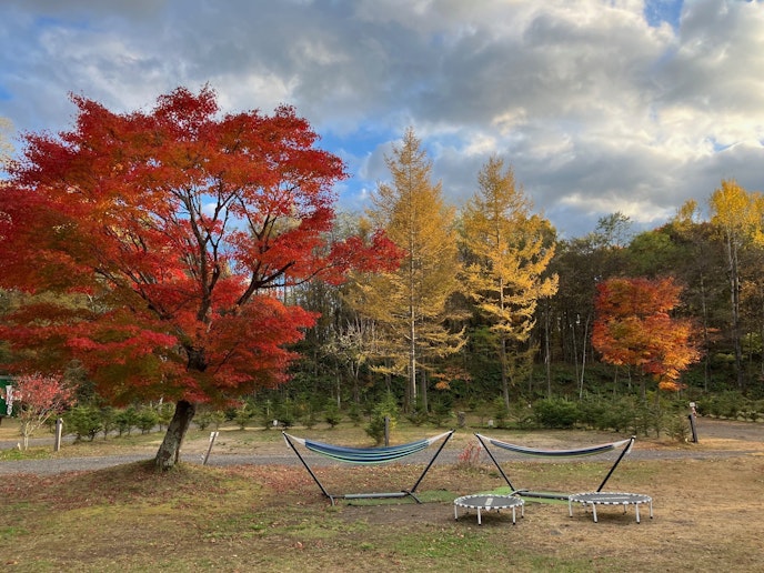 サンサン広場の紅葉