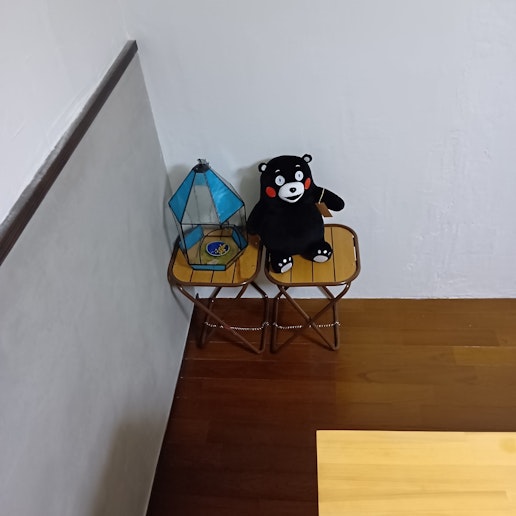 我が宿のボスです。