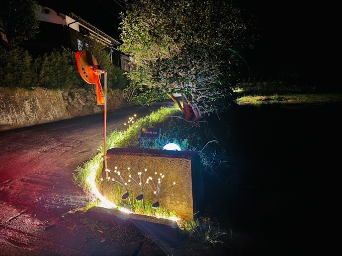 入り口アプローチ夜