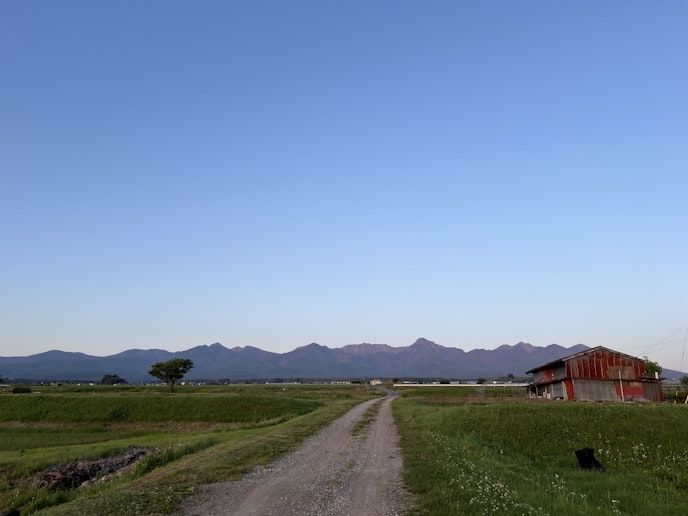 裏畑からの八ヶ岳