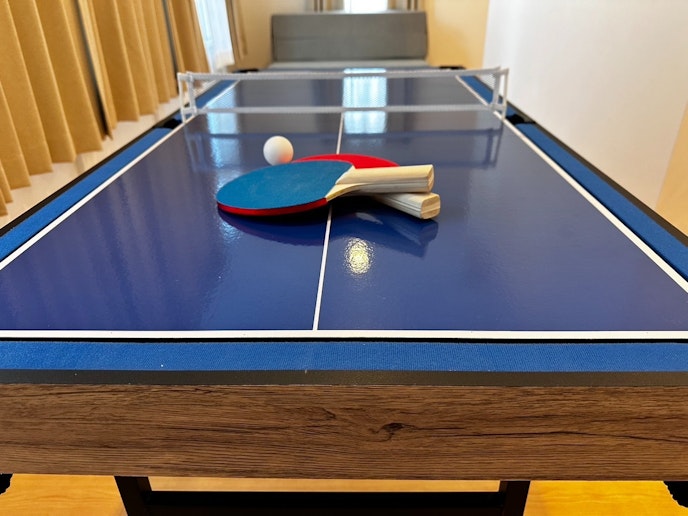 アクティビティ ミニ卓球