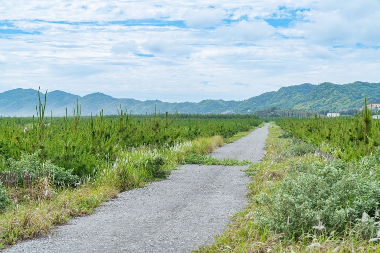 ヴィラ近くには、緑に囲まれた散歩道。...