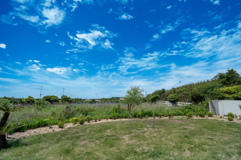 中庭 (ドッグラン)