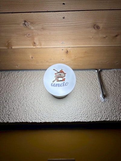 入り口天井ロゴライト