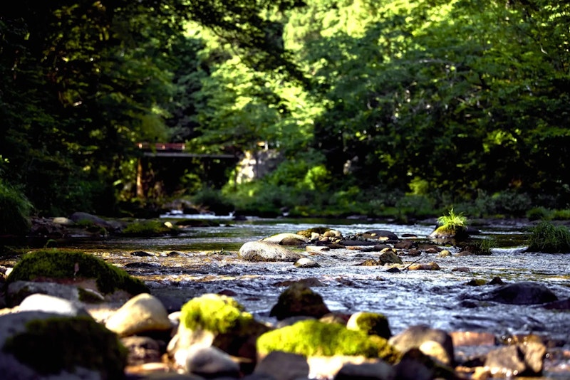 静けさに包まれた山のなか、五感を解き放って自然とふれあう体験をご提供します。