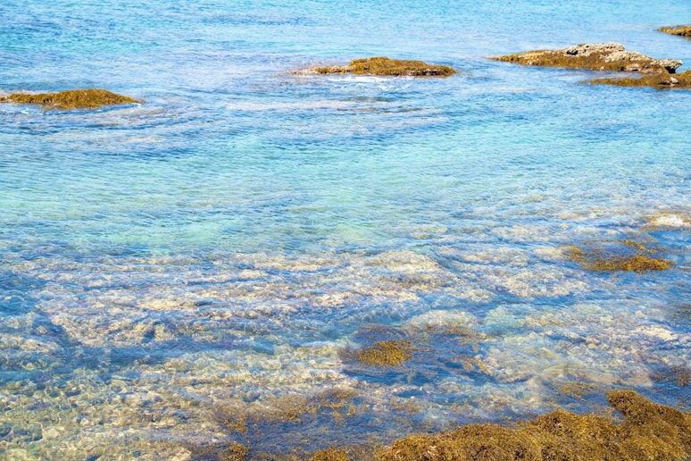 サウナ利用後はそのまま海へダイブし&ldquo;天然水風呂&rdquo;体験。非日常のリフレッシュをどうぞ。