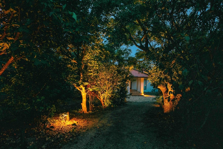 駐車場から宿の玄関までの道（夜）