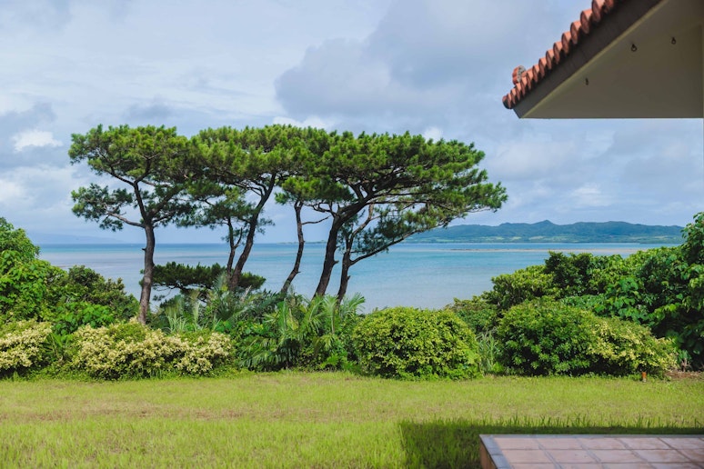 宿の真正面に最高の海が見えます