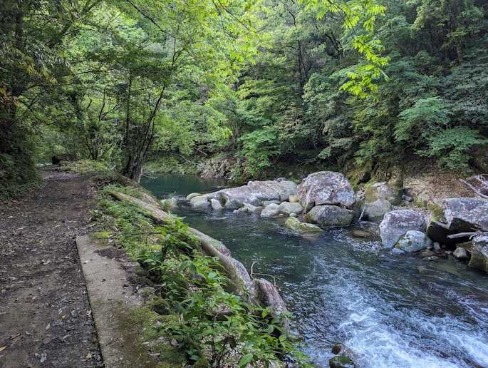 わずか歩いて１０分で大自然を堪能