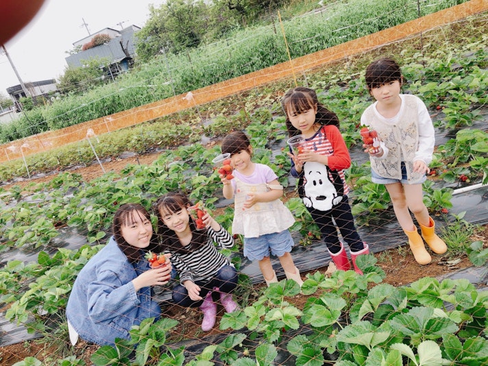 子供達の苺狩り