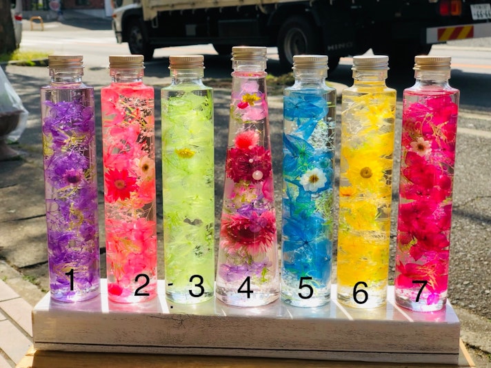 趣味で作ったハーバリュウム