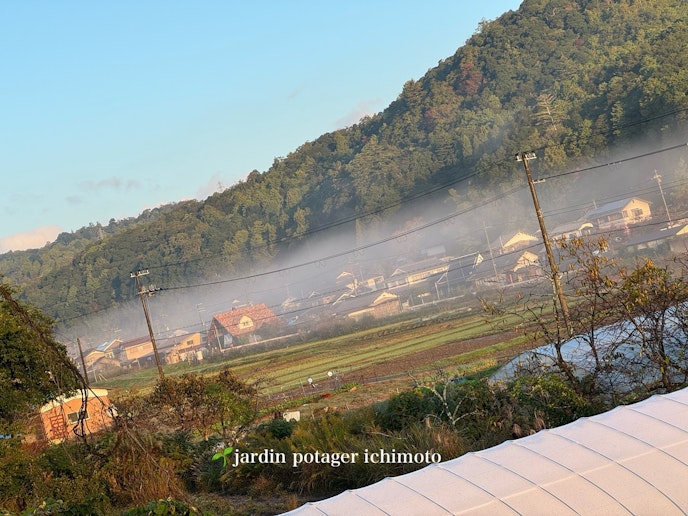 裏の縁側からの雲海