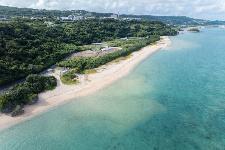 近くの海の画像