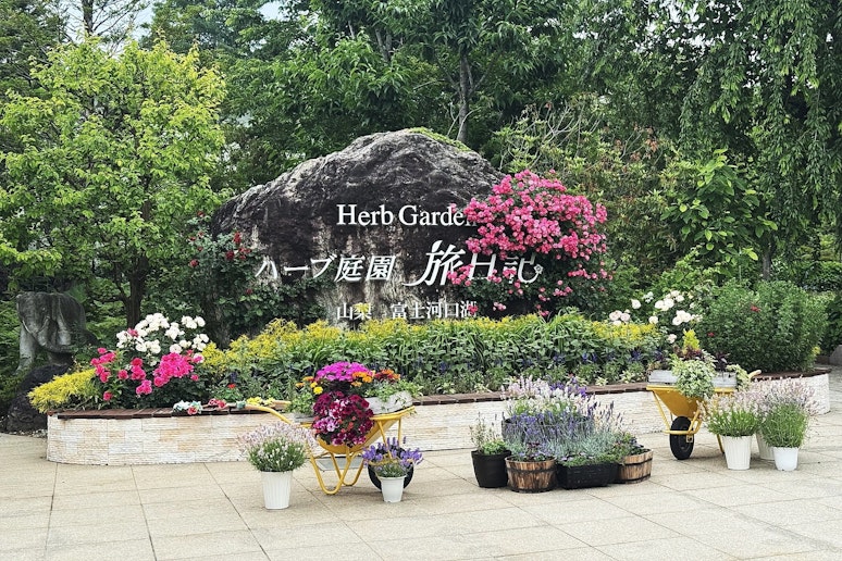 ハーブ庭園旅日記勝沼庭園では、一年を通して季節の花々を楽しめる花畑や、大温室で様々なハーブを楽...