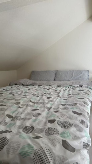 セミダブルベッド（ロフト上、やや登り難しい）