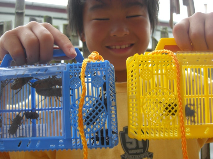 クワガタ・カブトムシ採集ツアー