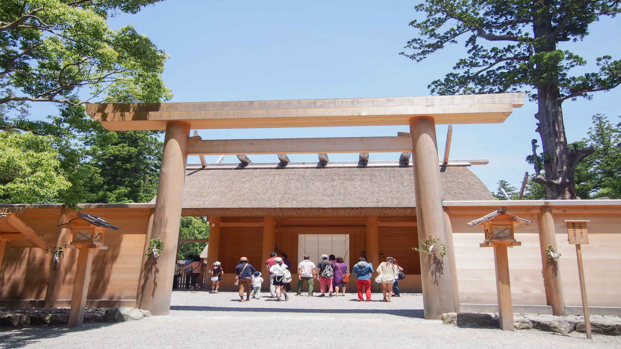  【外宮】高倉山麓の広大な神苑には杉の大木があり、参道には鶏も群れ遊んでいます。当館より車で１７分
