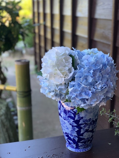 季節のお花がお出迎えします