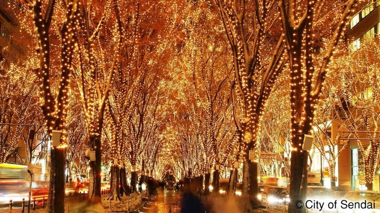 ＳＥＮＤＡＩ光のページェント（写真提供：仙台市観光交流課）