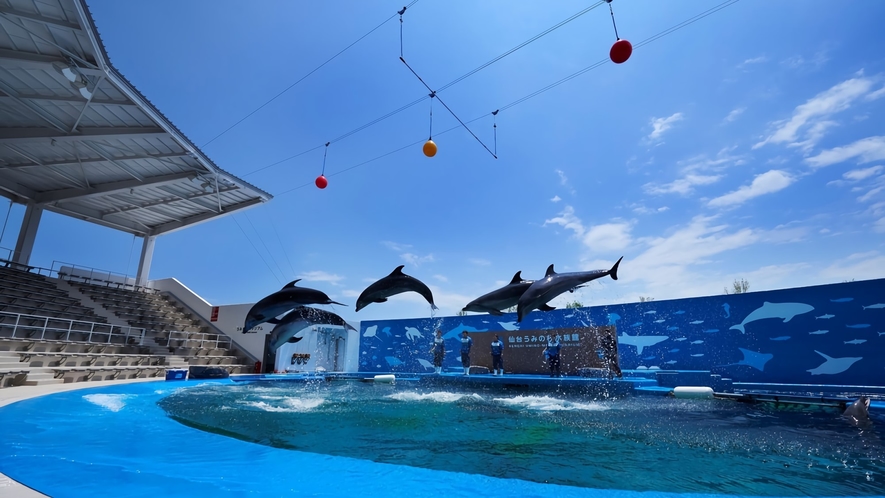 ★仙台うみの杜水族館に遊びに行こう！