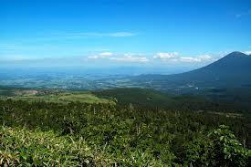 八幡平　岩手・秋田両県にまたがる、高原状のアスピーテ型火山台地。頂上まで約３０分。