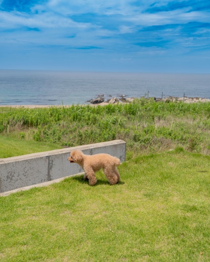 海辺ならではの絶景と開放感溢れる庭で非日常のひとときを。