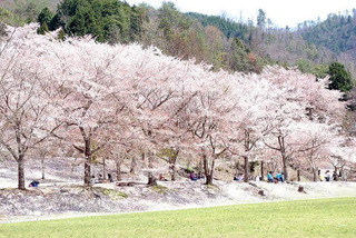 北広島町は自然がいっぱい★土師ダム