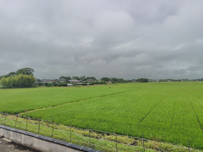 家の周辺に建物なし