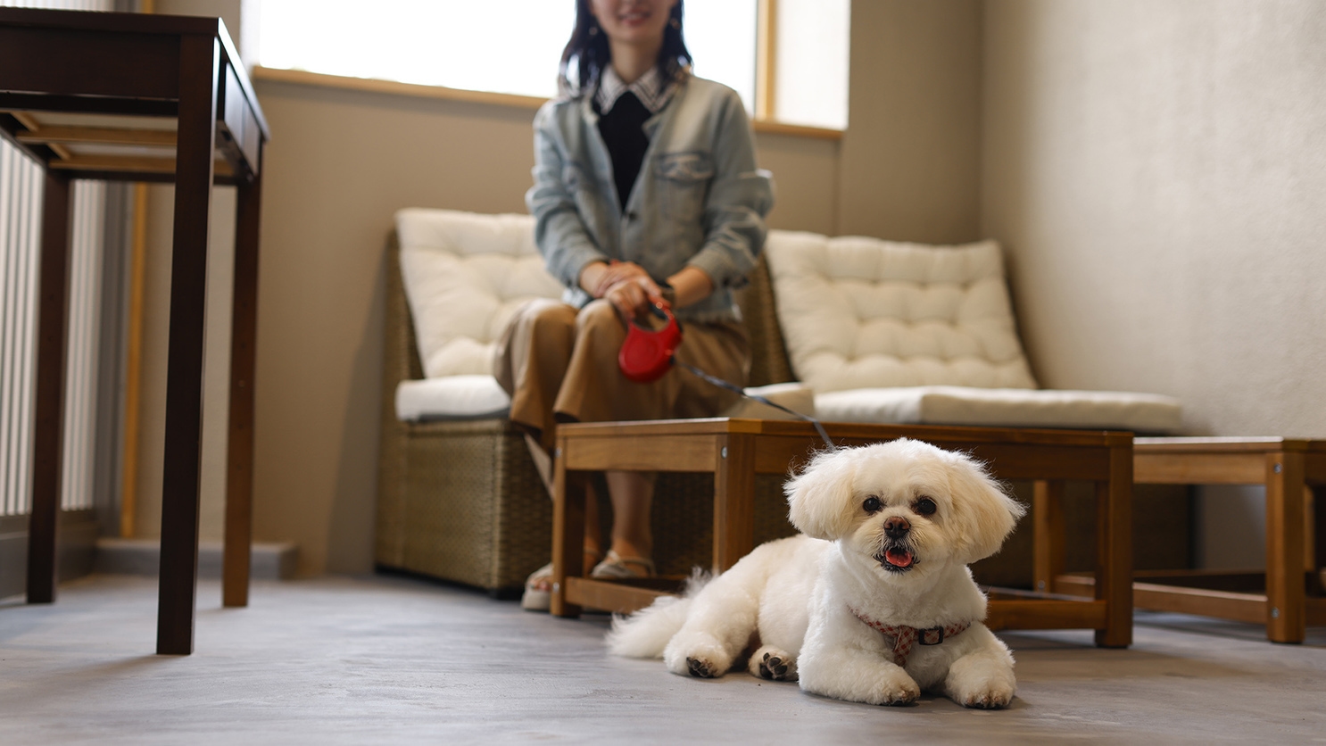 ＼2024年リニューアルOPEN／愛犬と過ごせるお部屋「ドッグフレンドリールーム」で特別な一夜を♪