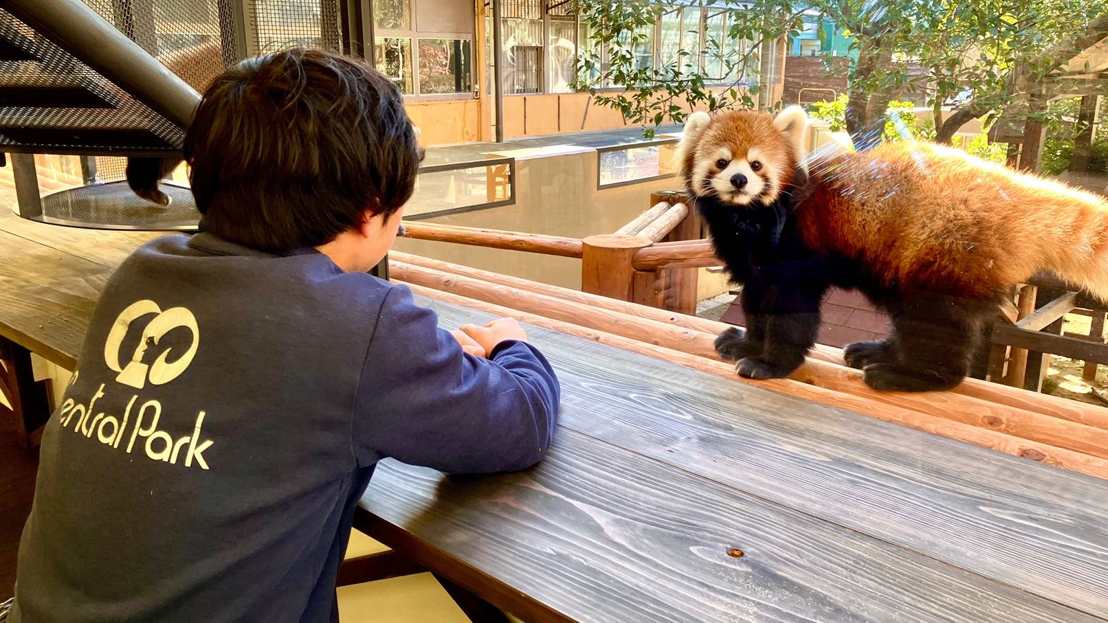 姫路セントラルパーク（サファリ）